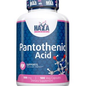 Haya Labs Pantothenic Acid (Pantoteno rūgštis ) 100 kaps.